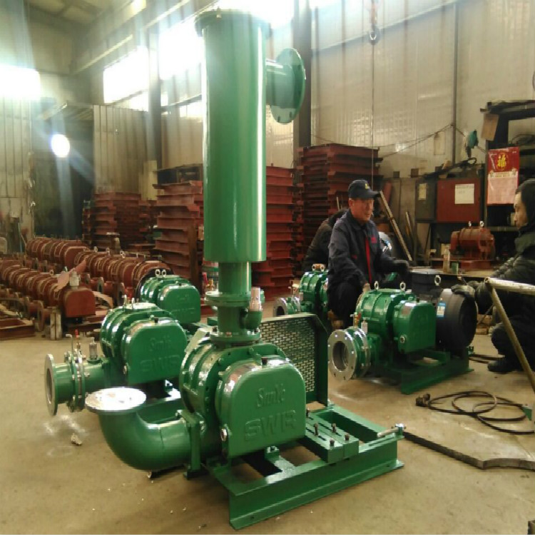 真空型羅茨鼓風(fēng)機(jī)